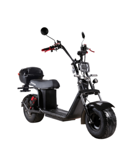 Электроскутер CityCoco SkyBoard BR20-2WD PRO в Минске