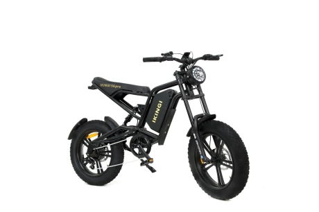 Съёмный аккумулятор 60V 23Ah