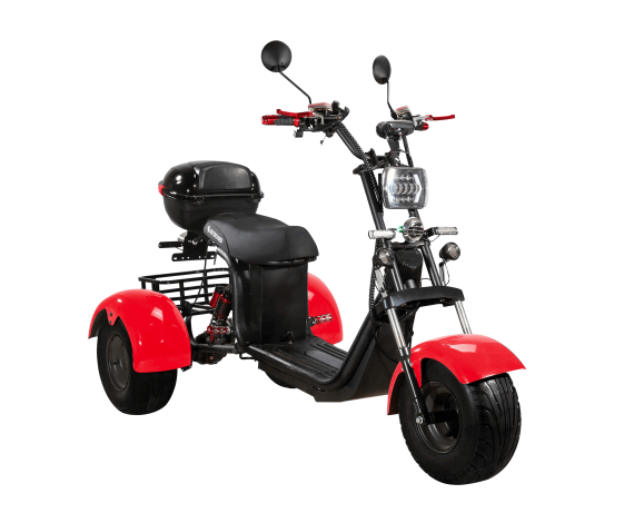 Электроскутер CityCoco SkyBoard TRIKE BR40-3000 PRO FASTв Минске