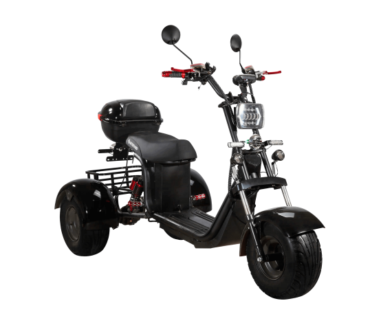 Электроскутер CityCoco SkyBoard TRIKE BR40-3000 PRO в Минске