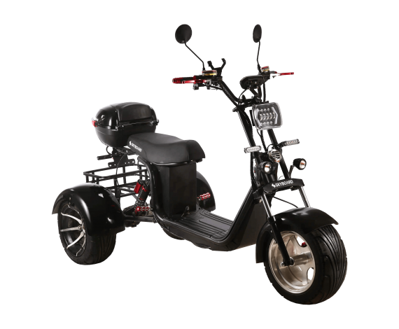 Электроскутер CityCoco SkyBoard TRIKE BR60-3000 PRO FAST в Минске