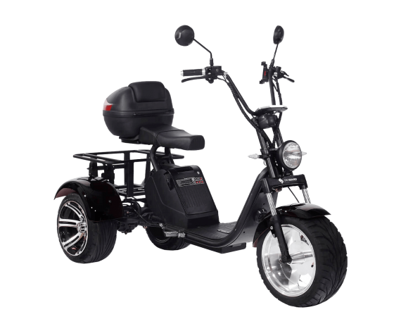 Электроскутер CityCoco SkyBoard TRIKE BR80 в Минске