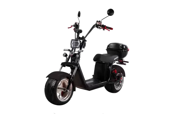 Электроскутер CityCoco SkyBoard BR30-2WD PRO в Минске