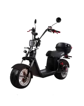 Электроскутер CityCoco SkyBoard BR30-2WD PRO в Минске