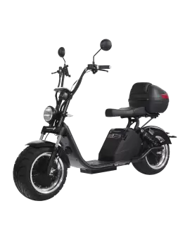 Электроскутер CityCoco SkyBoard BR70-2WD в Минске