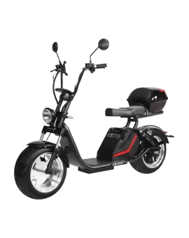 Электроскутер CityCoco SkyBoard BR70-3000 MAX в Минске