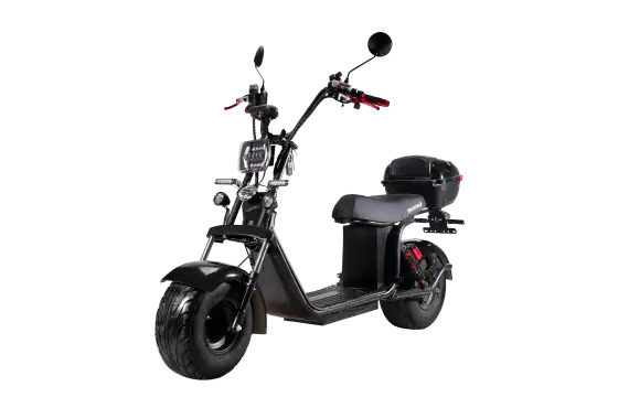 Электроскутер CityCoco SkyBoard BR20-2WD PRO в Минске