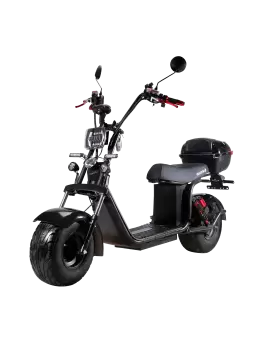 Электроскутер CityCoco SkyBoard BR20-2WD PRO в Минске