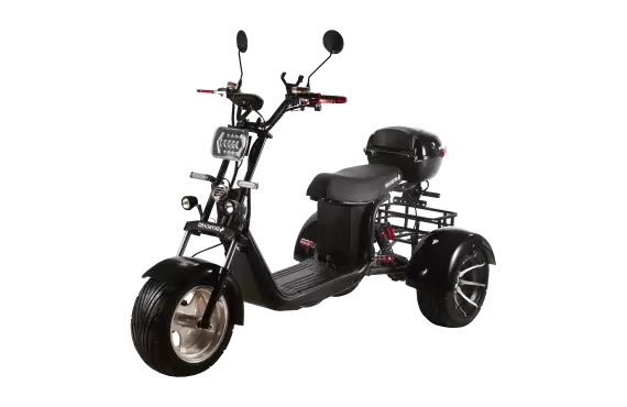 Электроскутер CityCoco SkyBoard TRIKE BR60-3000 PRO FAST в Минске