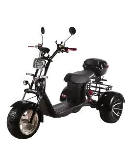 Электроскутер CityCoco SkyBoard TRIKE BR60-3000 PRO FAST в Минске