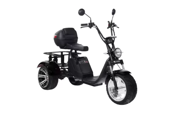 Электроскутер CityCoco SkyBoard TRIKE BR80 в Минске