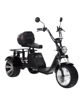 Электроскутер CityCoco SkyBoard TRIKE BR80 в Минске