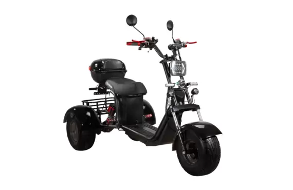 Электроскутер CityCoco SkyBoard TRIKE BR40-3000 PRO в Минске