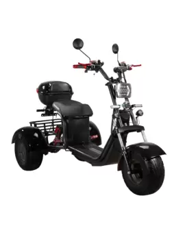 Электроскутер CityCoco SkyBoard TRIKE BR40-3000 PRO в Минске