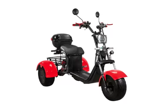 Электроскутер CityCoco SkyBoard TRIKE BR40-3000 PRO FASTв Минске