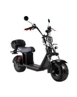 Электроскутер CityCoco SkyBoard BR20-3000 PRO в Минске