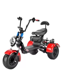 Электротрицикл  CityCoco GT-X5 TRIKE в Минске