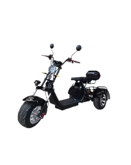 Электросамокат CityCoco GT-X11 PRO Trike в Минске