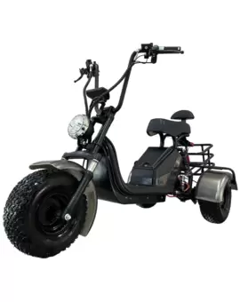 Электроскутер GT X6 Trike в Минске