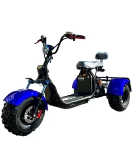 Электросамокат CityCoco GT-X8 Trike off road в Минске