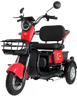 Электрический трицикл IKINGI SibTrike 115K