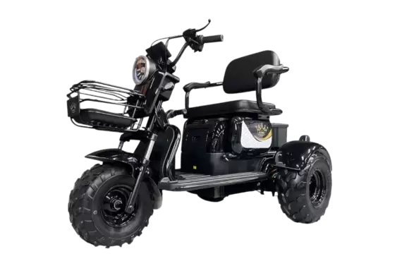 Электрический трицикл IKINGI SibTrike T3