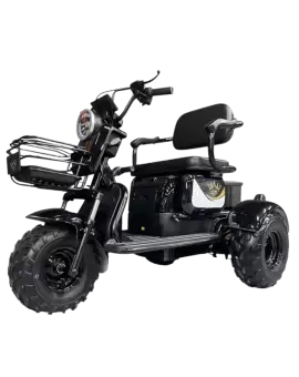 Электрический трицикл IKINGI SibTrike T3